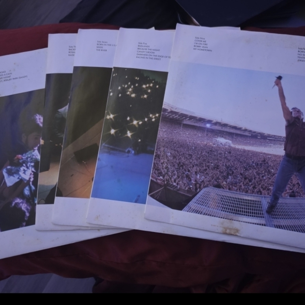 Bruce Springsteen Vinyl Record Set - Picture 4 of 4